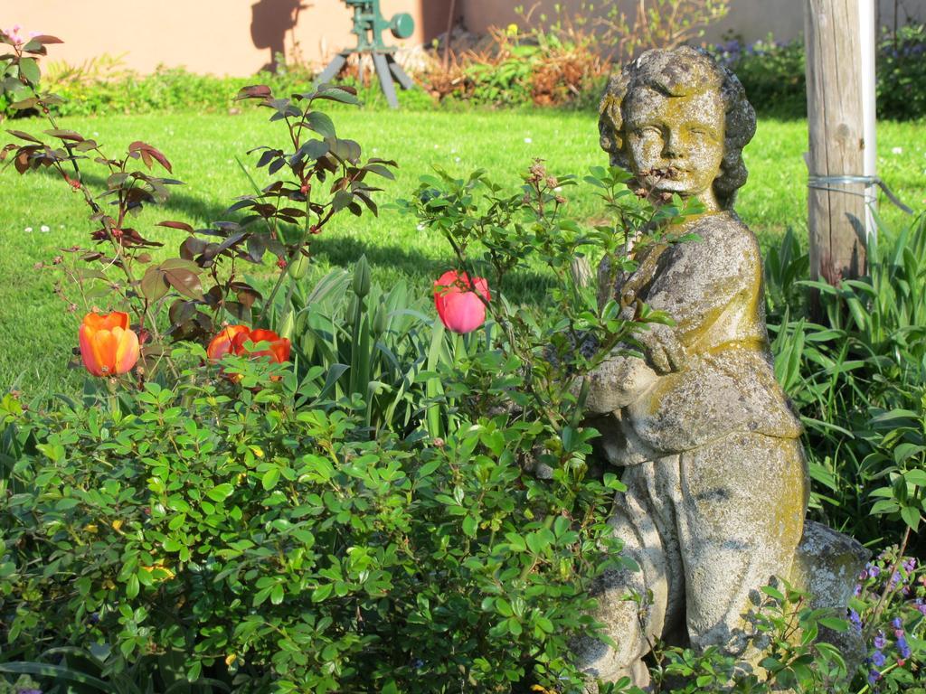 Weinhof Michael Morbach Hotel Zeltingen-Rachtig Bagian luar foto