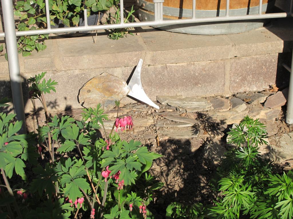 Weinhof Michael Morbach Hotel Zeltingen-Rachtig Bagian luar foto