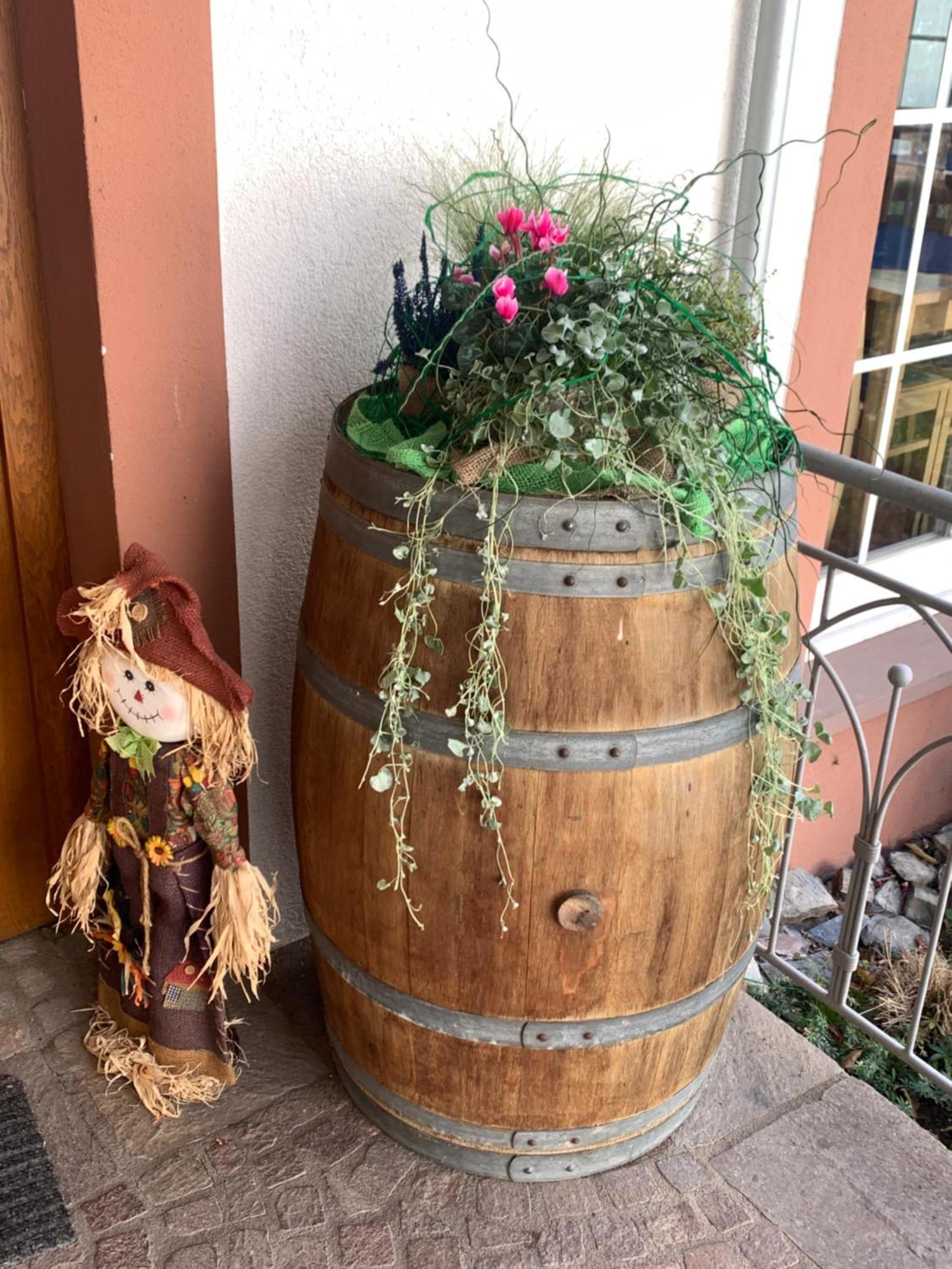 Weinhof Michael Morbach Hotel Zeltingen-Rachtig Bagian luar foto