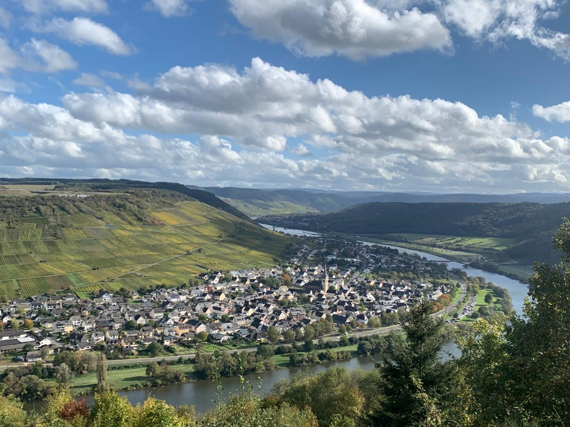 Weinhof Michael Morbach Hotel Zeltingen-Rachtig Bagian luar foto